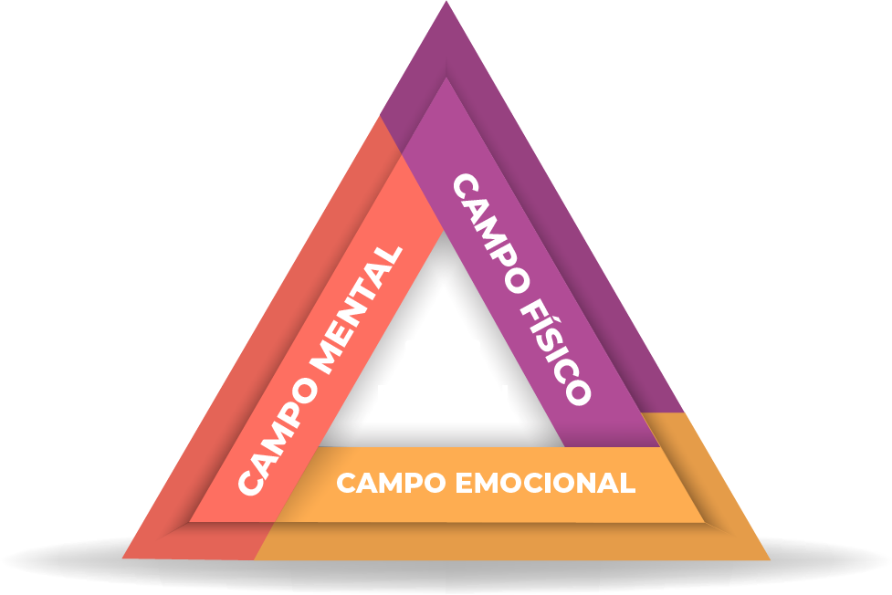 Triangulo del aprendizaje